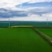 IFC предоставит Elementum Energy EUR60 млн на строительство двух новых ВЭС в Украине общей мощностью 257,6 МВт