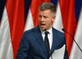 Мадьяр сравнил украинскую «Карпатскую восьмерку» с сельским футболом