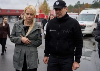 Украина и РФ согласовали время прекращения огня в Олешках, — Лубинец
