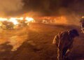 Пёс не выжил: вражеский дрон ударил по приюту для животных в Одесской области — погибла собака, сгорели 14 авто. ФОТО