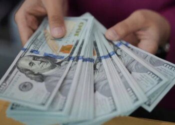 Бронирование за деньги: руководитель Бориспольского лесничества продавал защиту от мобилизации за $20 000