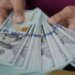 Бронирование за деньги: руководитель Бориспольского лесничества продавал защиту от мобилизации за $20 000