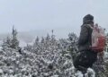 Четыре часа поисков в снежную бурю: спасатели вызволили туриста, заблудившегося на пути к Говерле