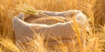 Украина готова к постепенной интеграции агросектора в ЕС, и уже пора искать решения – министр агрополитики