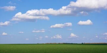 Посевы озимых зерновых достигли почти половины от прогноза
