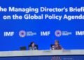 Устойчивость мировой экономики достигает своего предела – глава МВФ