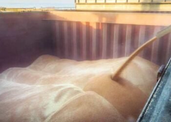 Падение реального ВВП в сентябре составило 2,4% из-за сокращения агросектора, разрушения промышленности и логистики – оценка ИЭИ