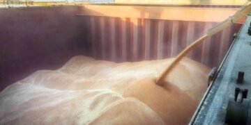 Падение реального ВВП в сентябре составило 2,4% из-за сокращения агросектора, разрушения промышленности и логистики – оценка ИЭИ