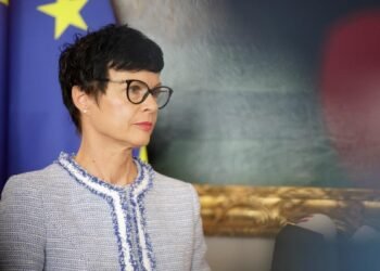 Кос: Украина станет частью агрополитики ЕС по особой модели, сохранив традиционные рынки сбыта для экспорта зерновых