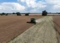 Портфель кредитов «ПриватБанка», выданных аграриям, составляет около 25 млрд грн – зампредседателя правления
