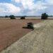 Аграрии собрали более 37,1 млн т зерновых и 13,9 млн т масличных – на 6,9% и 2,1% больше, чем в прошлом году