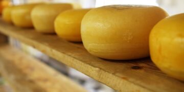 «Сырное королевство» прекращает работу магазинов