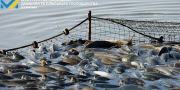 Рада ввела аукционы для привлечения инвестиций в рыбное хозяйство и упростила доступ к водным объектам
