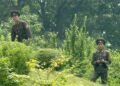 КНДР демонстративно выставила гаубицы у границы с Южной Кореей, — Reuters
