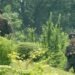 КНДР демонстративно выставила гаубицы у границы с Южной Кореей, — Reuters