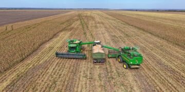 Экспорт агропродукции из Украины сократился на 50-60% из-за логистического кризиса – представитель «Нибулона»