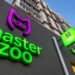 MasterZoo инвестировал в обновление сайта и разработку приложения более $130 тыс.